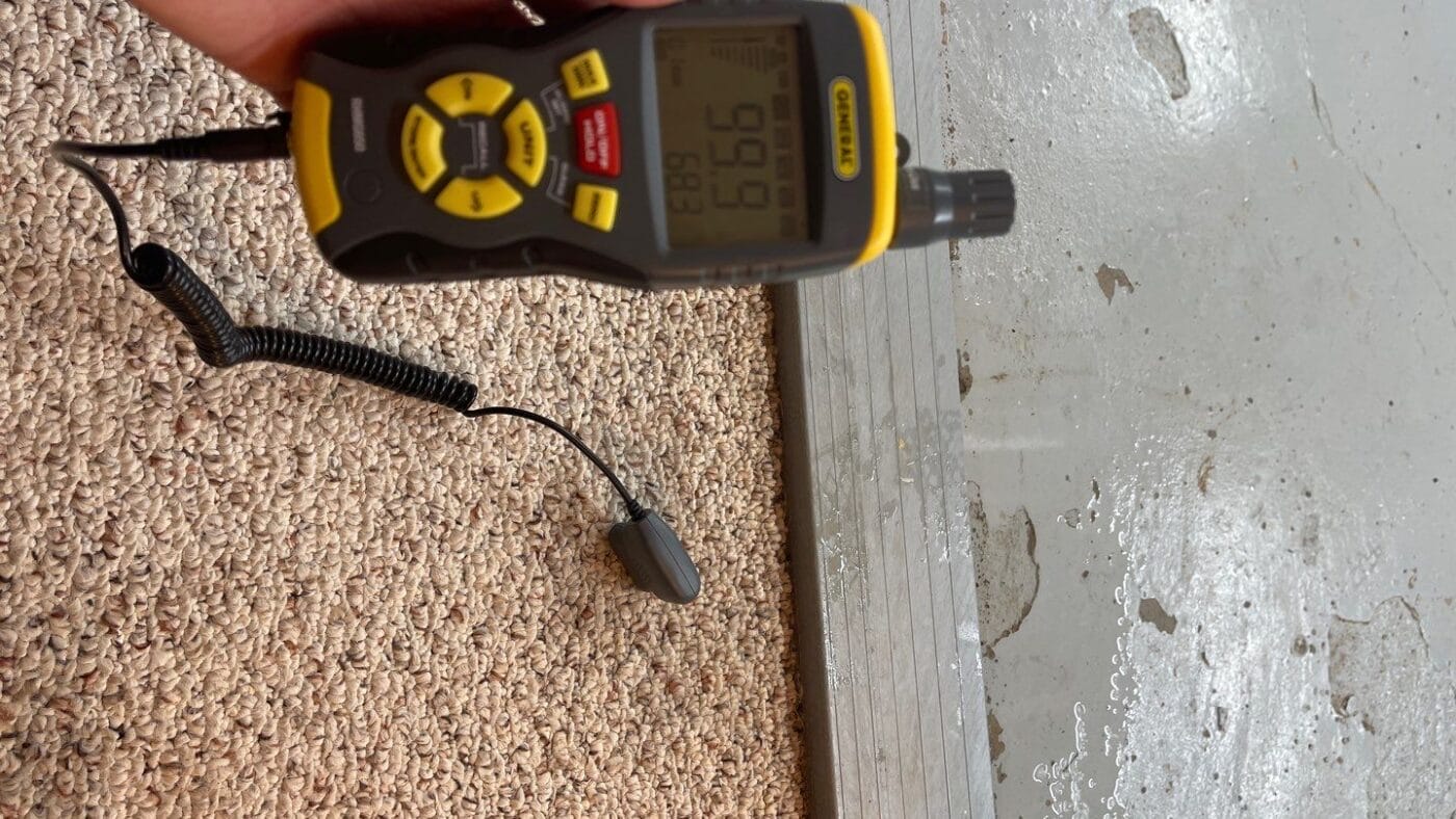 Carpet being moisture tested
